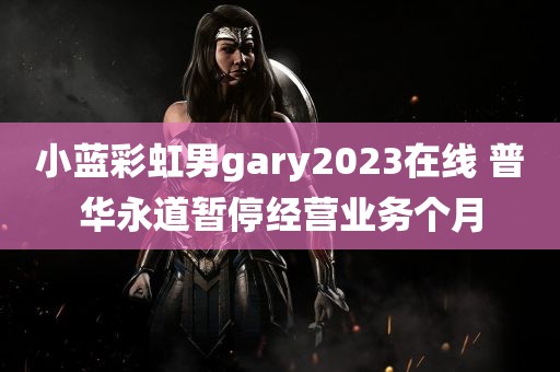 小蓝彩虹男gary2023在线 普华永道暂停经营业务个月