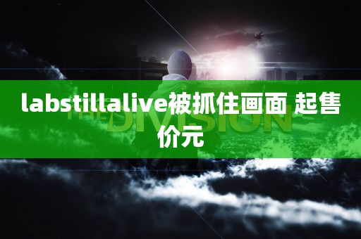 labstillalive被抓住画面 起售价元