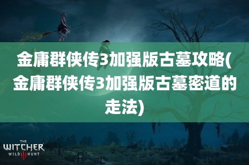 金庸群侠传3加强版古墓攻略(金庸群侠传3加强版古墓密道的走法)