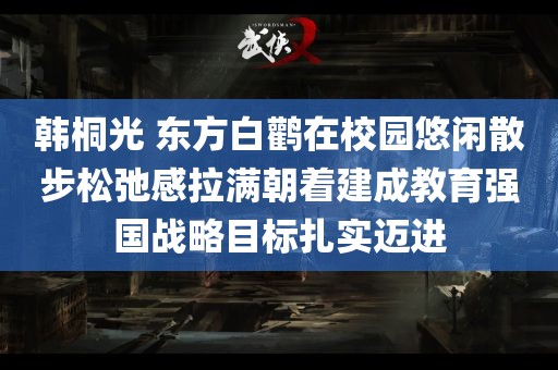 韩桐光 东方白鹳在校园悠闲散步松弛感拉满朝着建成教育强国战略目标扎实迈进