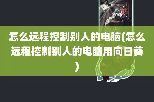 怎么远程控制别人的电脑(怎么远程控制别人的电脑用向日葵)