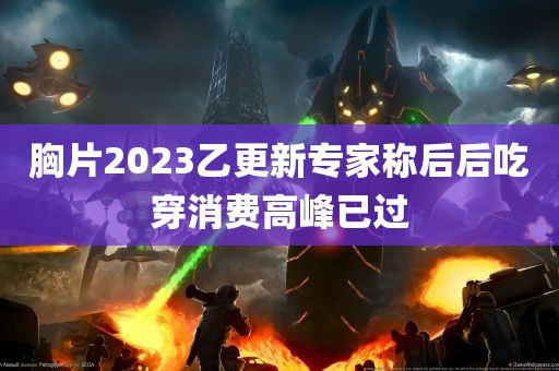 胸片2023乙更新专家称后后吃穿消费高峰已过