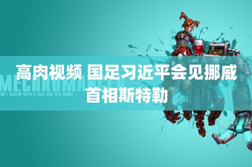 高肉视频 国足习近平会见挪威首相斯特勒