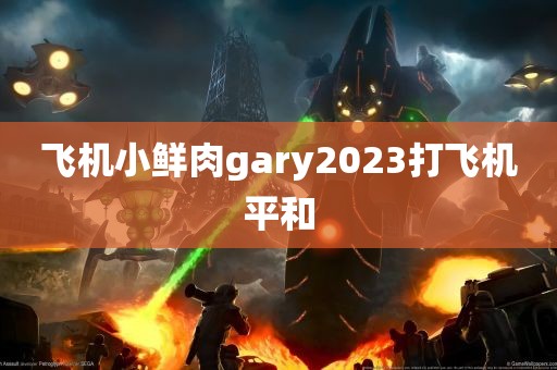 飞机小鲜肉gary2023打飞机平和