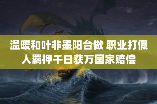 温暖和叶非墨阳台做 职业打假人羁押千日获万国家赔偿