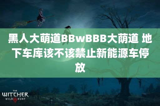 黑人大萌道BBwBBB大荫道 地下车库该不该禁止新能源车停放