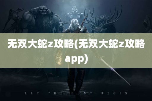 无双大蛇z攻略(无双大蛇z攻略app)