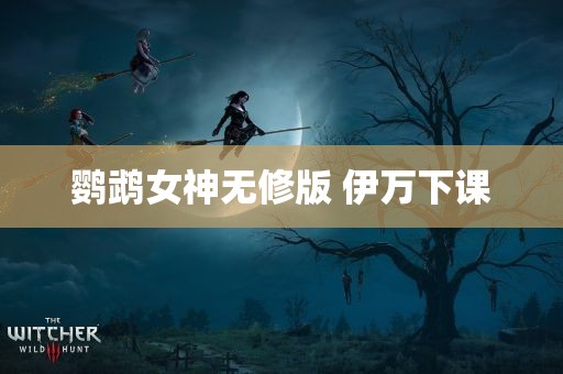 鹦鹉女神无修版 伊万下课