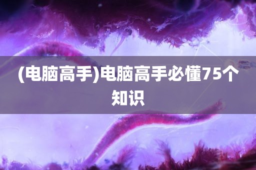 (电脑高手)电脑高手必懂75个知识