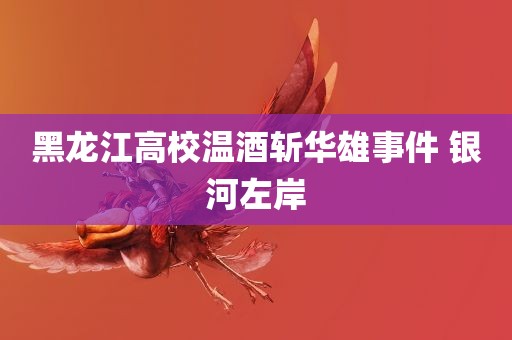 黑龙江高校温酒斩华雄事件 银河左岸