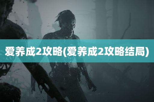 爱养成2攻略(爱养成2攻略结局)