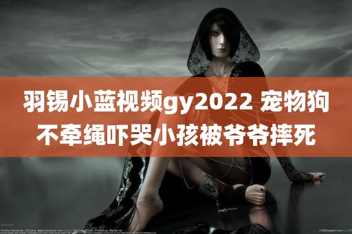 羽锡小蓝视频gy2022 宠物狗不牵绳吓哭小孩被爷爷摔死