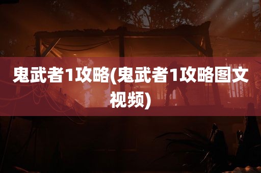 鬼武者1攻略(鬼武者1攻略图文视频)