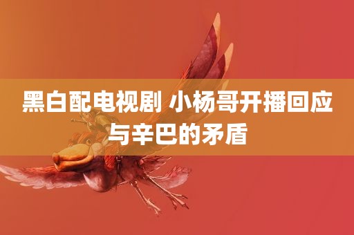 黑白配电视剧 小杨哥开播回应与辛巴的矛盾