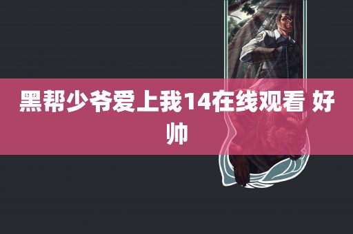 黑帮少爷爱上我14在线观看 好帅