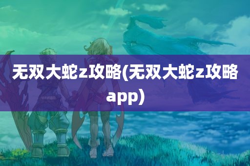 无双大蛇z攻略(无双大蛇z攻略app)