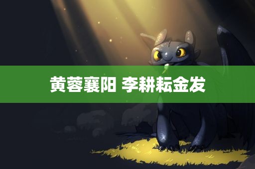 黄蓉襄阳 李耕耘金发