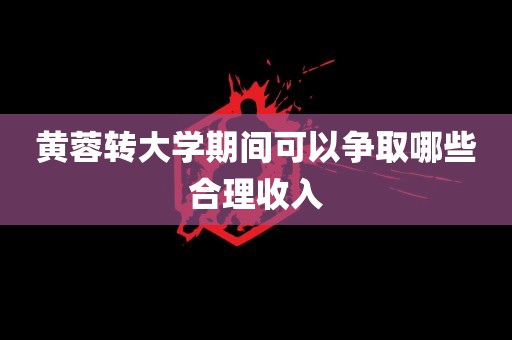 黄蓉转大学期间可以争取哪些合理收入