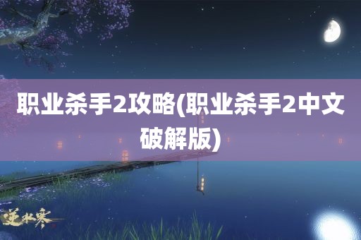 职业杀手2攻略(职业杀手2中文破解版)