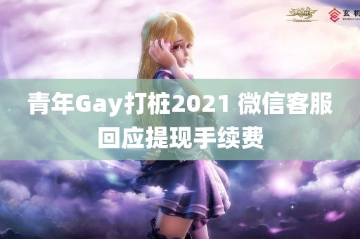 青年Gay打桩2021 微信客服回应提现手续费