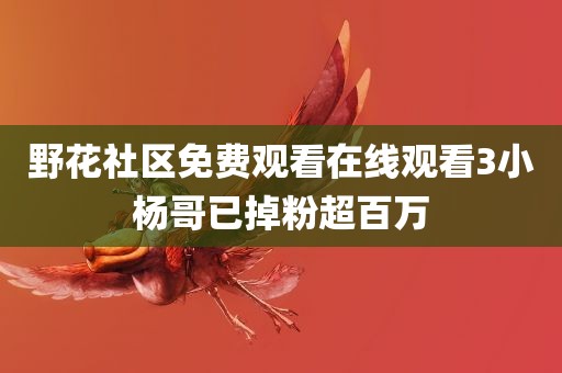 野花社区免费观看在线观看3小杨哥已掉粉超百万