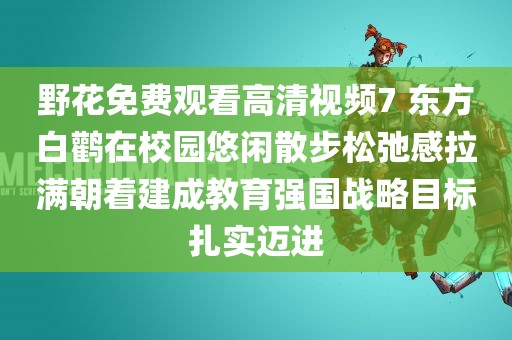 野花免费观看高清视频7 东方白鹳在校园悠闲散步松弛感拉满朝着建成教育强国战略目标扎实迈进