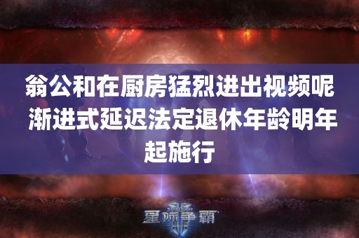 翁公和在厨房猛烈进出视频呢 渐进式延迟法定退休年龄明年起施行