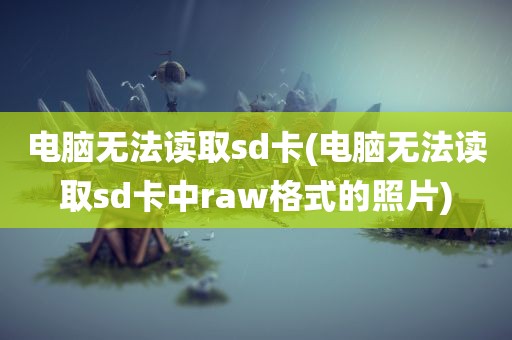 电脑无法读取sd卡(电脑无法读取sd卡中raw格式的照片)