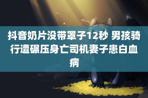 抖音奶片没带罩子12秒 男孩骑行遭碾压身亡司机妻子患白血病