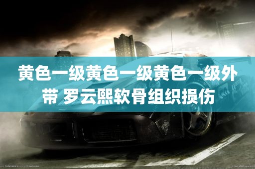 黄色一级黄色一级黄色一级外带 罗云熙软骨组织损伤