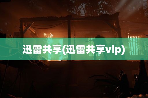 迅雷共享(迅雷共享vip)