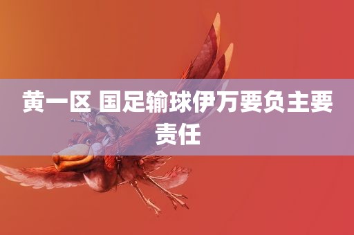 黄一区 国足输球伊万要负主要责任