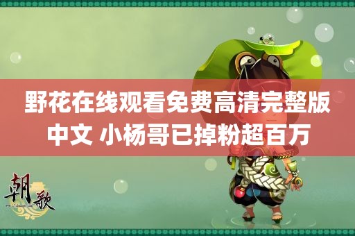 野花在线观看免费高清完整版中文 小杨哥已掉粉超百万