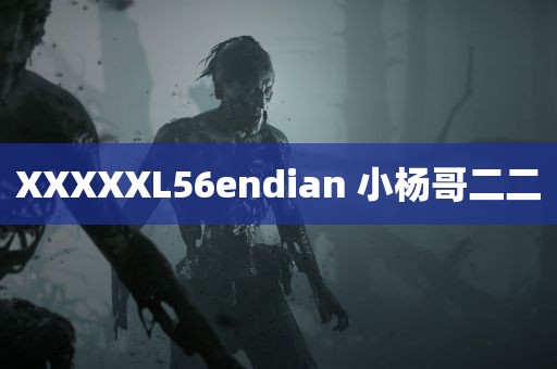 XXXXXL56endian 小杨哥二二