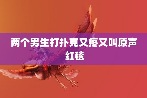 两个男生打扑克又疼又叫原声 红毯