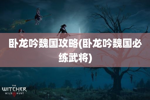 卧龙吟魏国攻略(卧龙吟魏国必练武将)