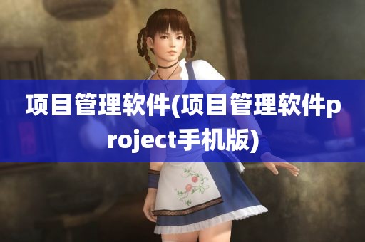 项目管理软件(项目管理软件project手机版)