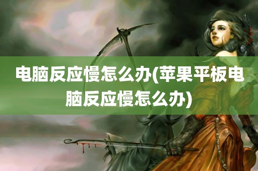 电脑反应慢怎么办(苹果平板电脑反应慢怎么办)