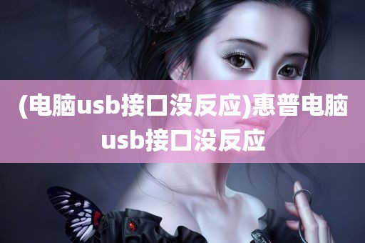 (电脑usb接口没反应)惠普电脑usb接口没反应