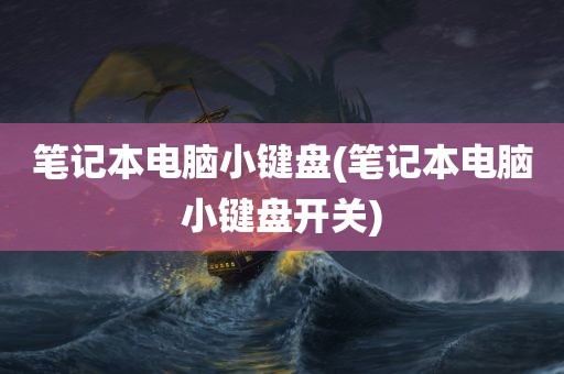 笔记本电脑小键盘(笔记本电脑小键盘开关)