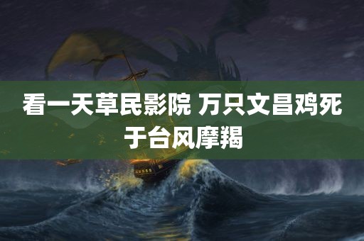 看一天草民影院 万只文昌鸡死于台风摩羯