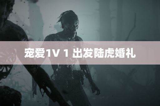 宠爱1V 1 出发陆虎婚礼