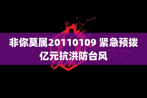 非你莫属20110109 紧急预拨亿元抗洪防台风