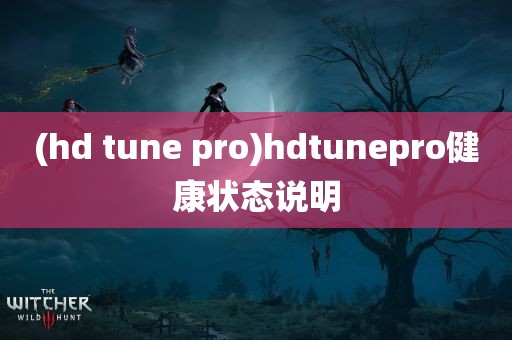 (hd tune pro)hdtunepro健康状态说明