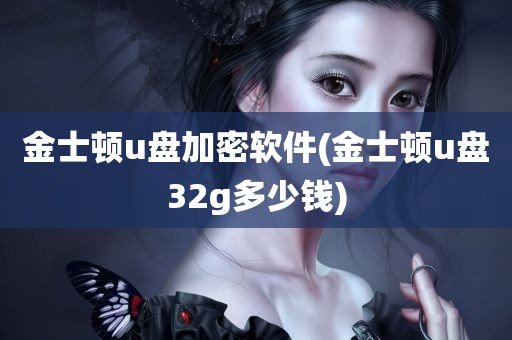 金士顿u盘加密软件(金士顿u盘32g多少钱)