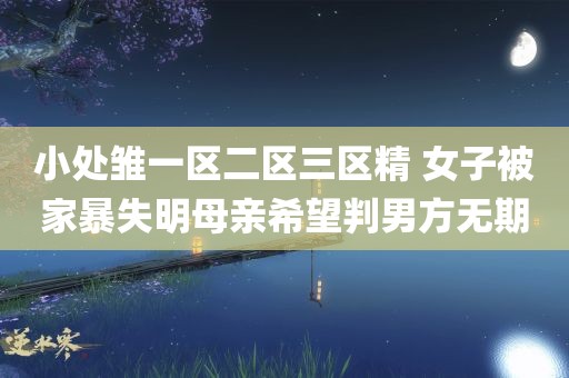 小处雏一区二区三区精 女子被家暴失明母亲希望判男方无期