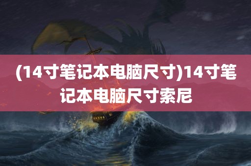 (14寸笔记本电脑尺寸)14寸笔记本电脑尺寸索尼