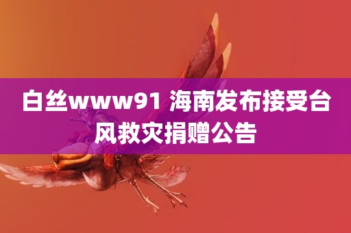 白丝www91 海南发布接受台风救灾捐赠公告