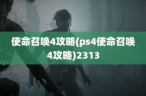 使命召唤4攻略(ps4使命召唤4攻略)2313