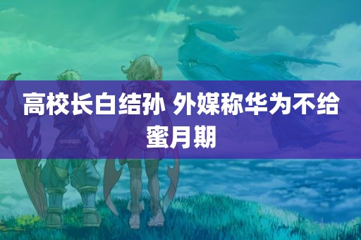 高校长白结孙 外媒称华为不给蜜月期